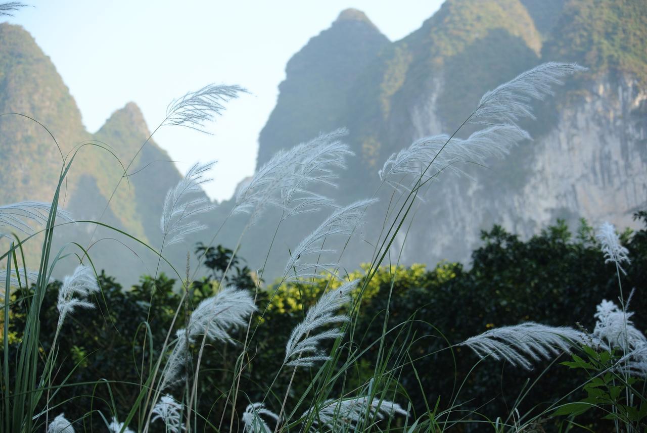 Nirvana Organic Farm Inn Yangshuo Exterior photo