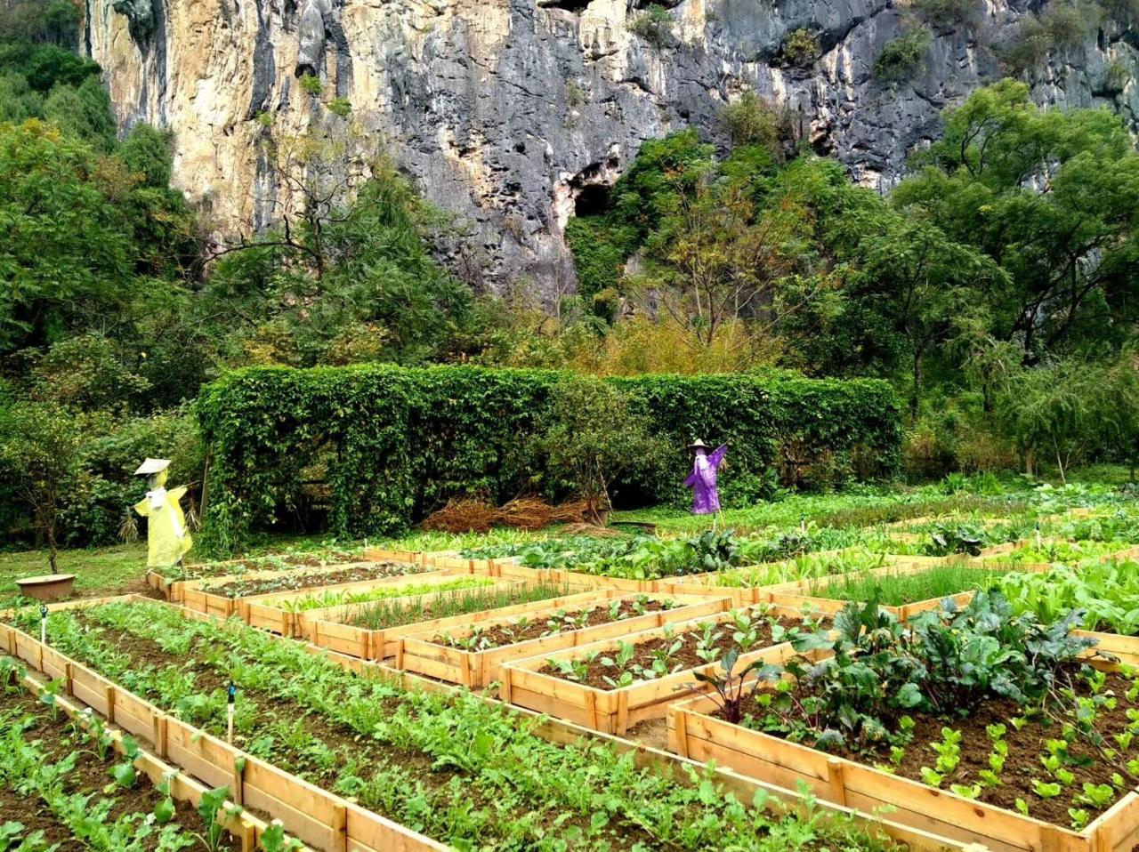 Nirvana Organic Farm Inn Yangshuo Exterior photo